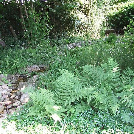 B&B 'T Nije Huus Schoonoord Exteriör bild