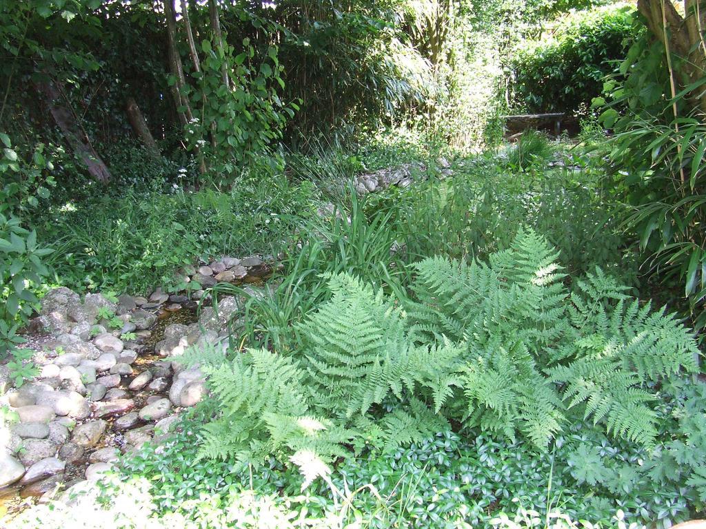 B&B 'T Nije Huus Schoonoord Exteriör bild